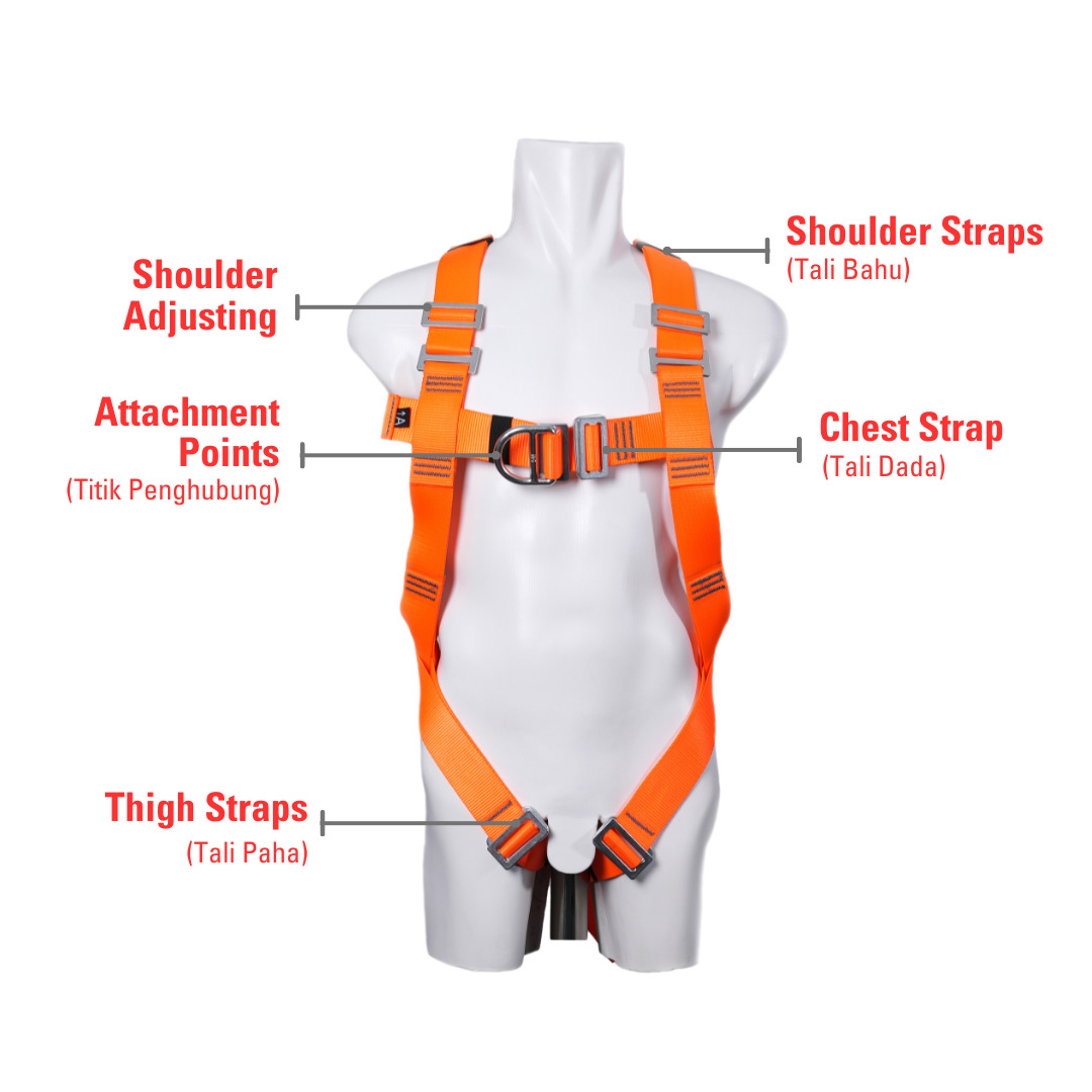 Anatomi Harness