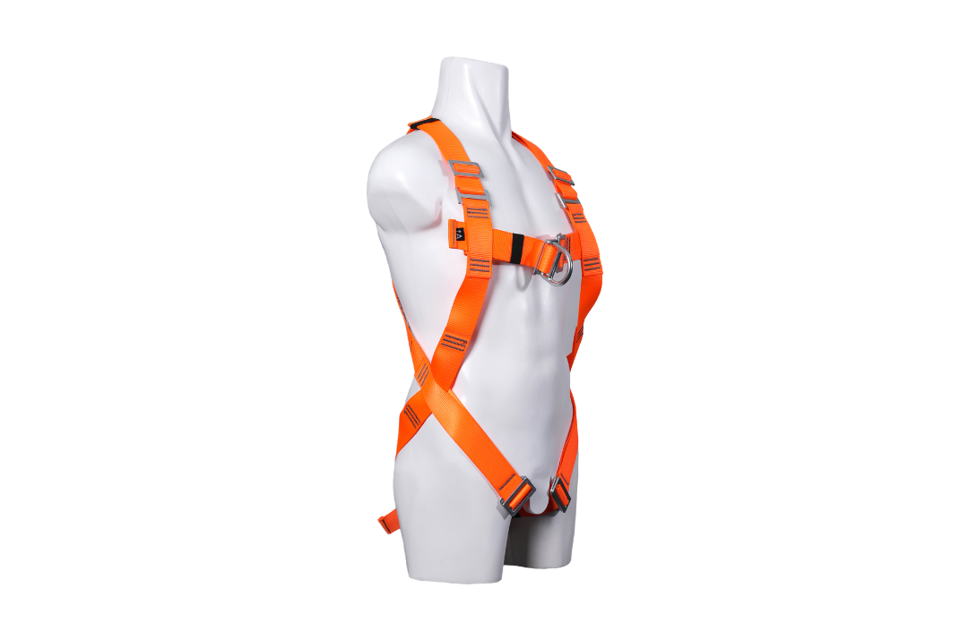 Harness 2 poin