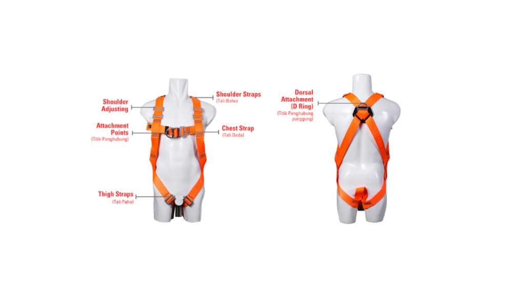 Anatomi body harness